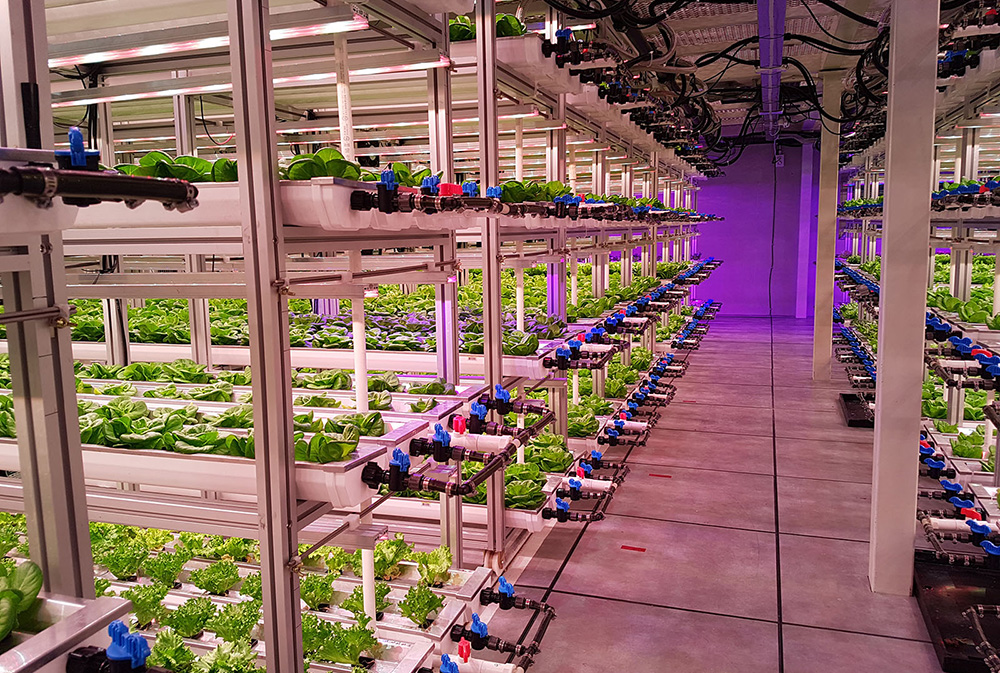 vertical-farming-wur